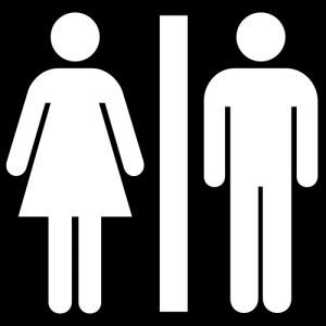 Planning A Unisex Bathroom: Latest Government Guidelines image